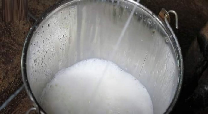 Pakistanis drink 48 million tonne milk each year,4th highest in the world