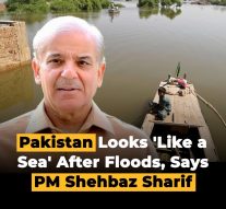 Pakistan looks like a Sea after flood says PM Shahbaz sharif