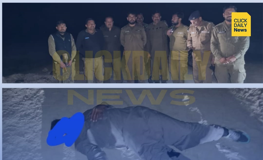 Employment abroad, which professional degrees are in high demand?