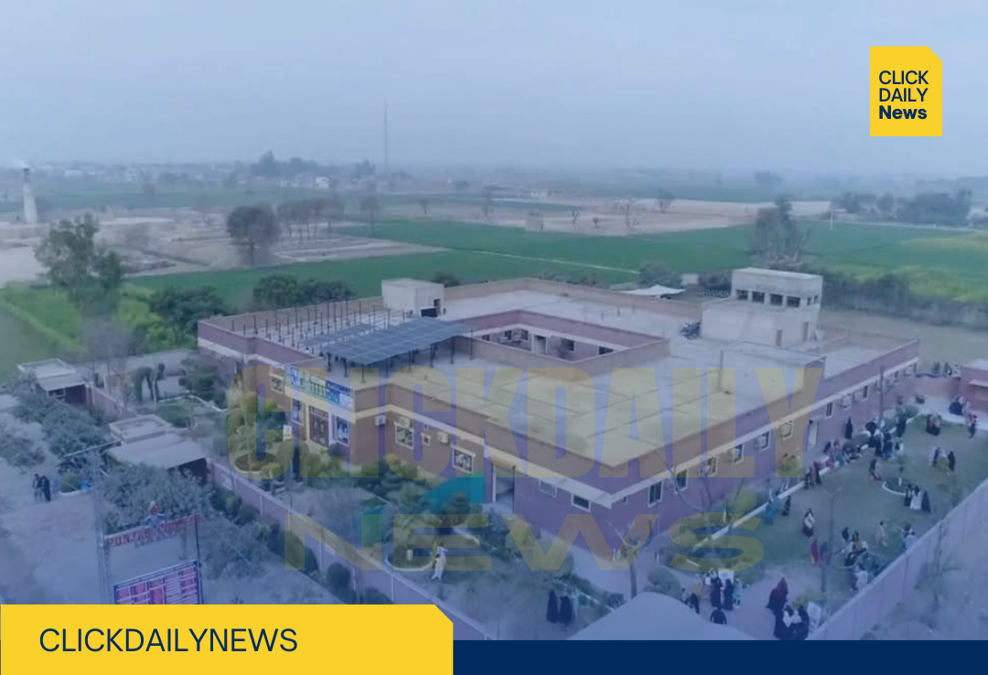 Punjab College Arifwala – Ten-Year Performance Report